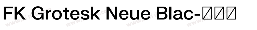 FK Grotesk Neue Blac字体转换 FK Grotesk Neue Blac字体转换